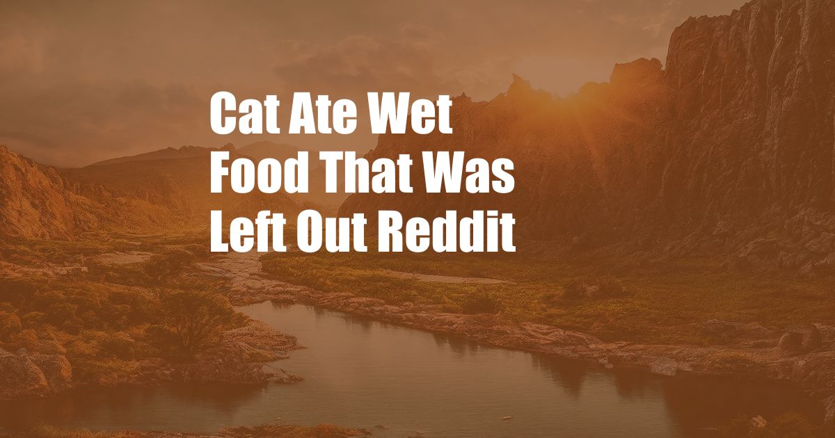 Cat Ate Wet Food That Was Left Out Reddit