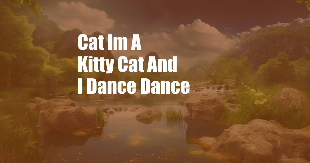 Cat Im A Kitty Cat And I Dance Dance