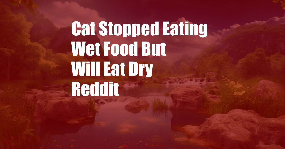 Cat Stopped Eating Wet Food But Will Eat Dry Reddit