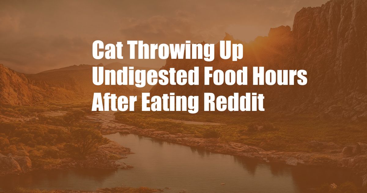 Cat Throwing Up Undigested Food Hours After Eating Reddit