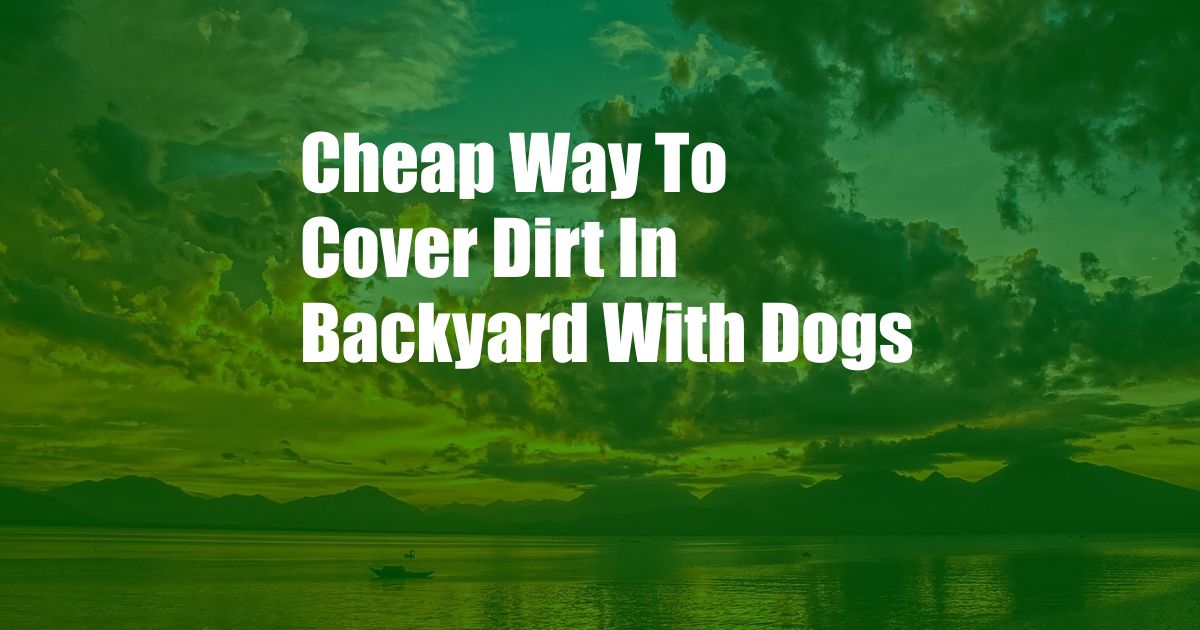 Cheap Way To Cover Dirt In Backyard With Dogs