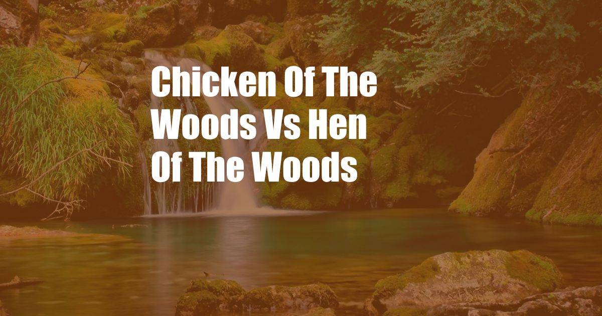 Chicken Of The Woods Vs Hen Of The Woods