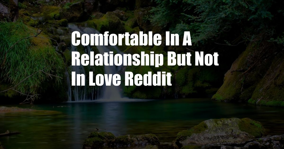 Comfortable In A Relationship But Not In Love Reddit