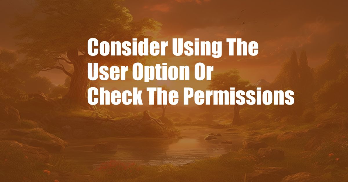 Consider Using The User Option Or Check The Permissions