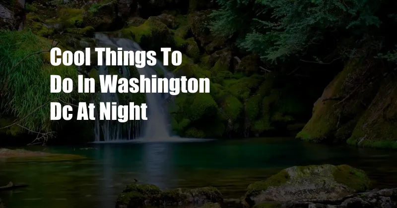 Cool Things To Do In Washington Dc At Night