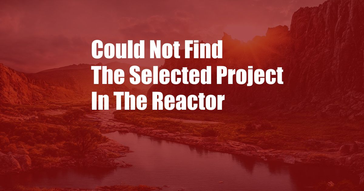Could Not Find The Selected Project In The Reactor