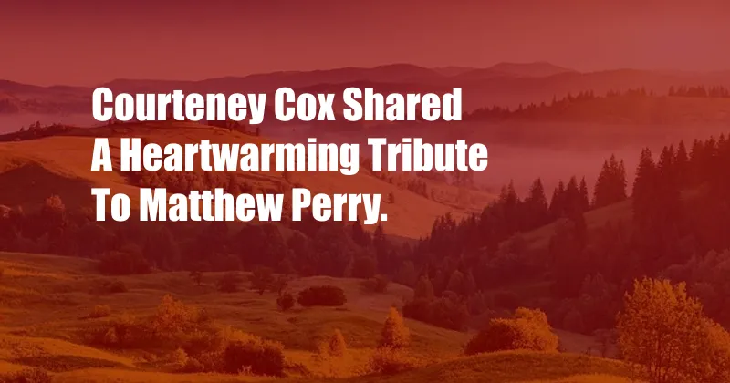 Courteney Cox Shared A Heartwarming Tribute To Matthew Perry.