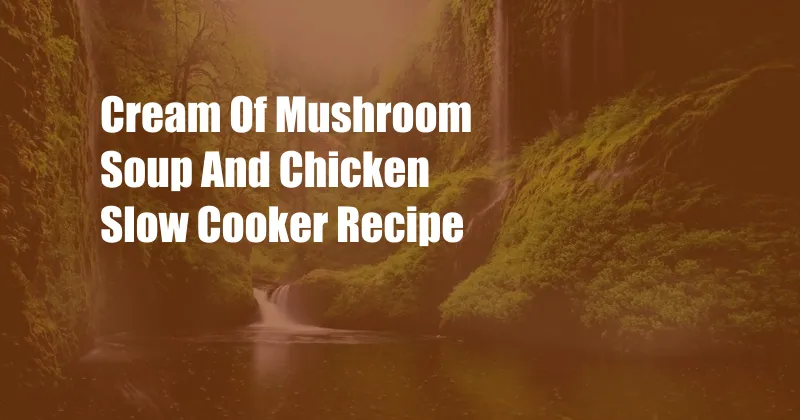Cream Of Mushroom Soup And Chicken Slow Cooker Recipe