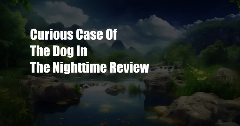 Curious Case Of The Dog In The Nighttime Review