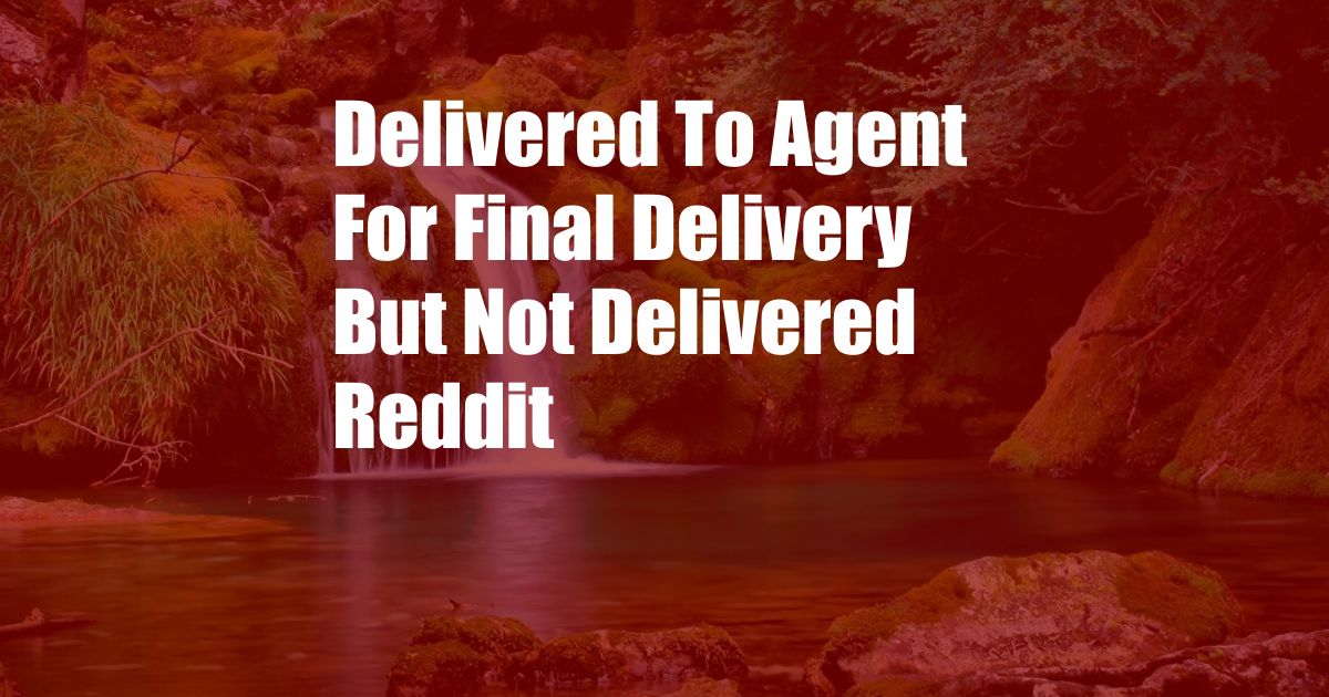 Delivered To Agent For Final Delivery But Not Delivered Reddit