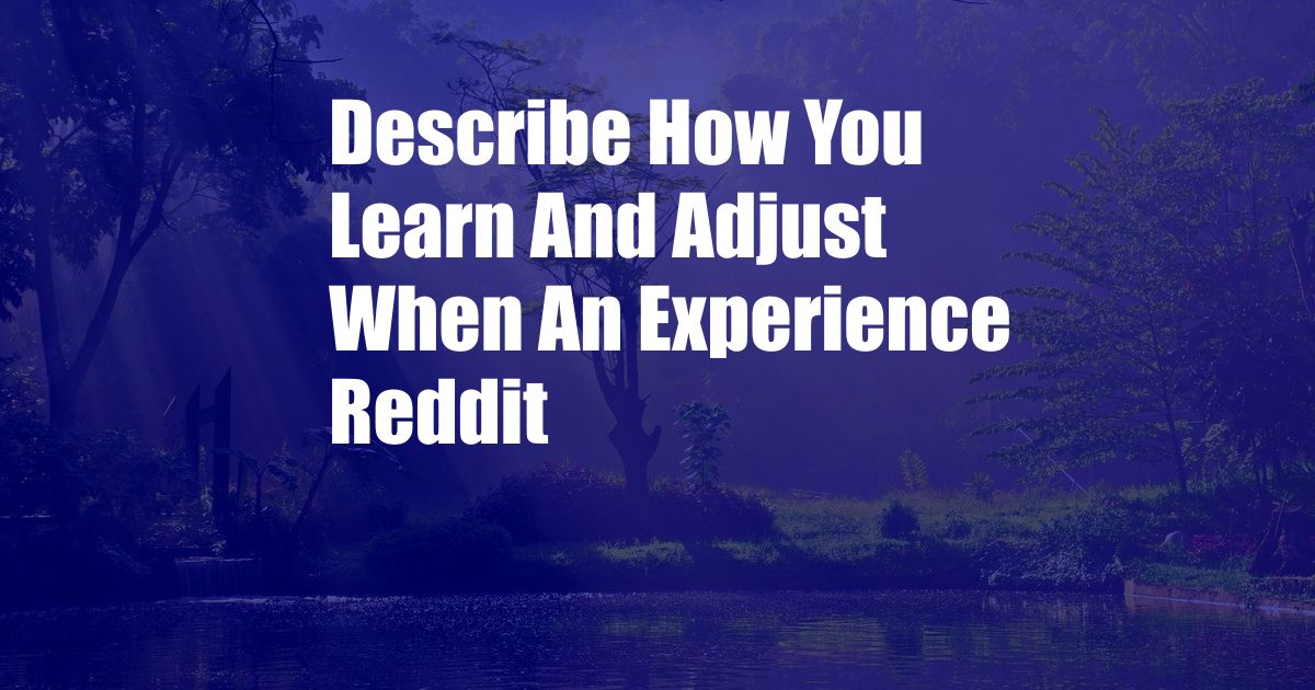 Describe How You Learn And Adjust When An Experience Reddit