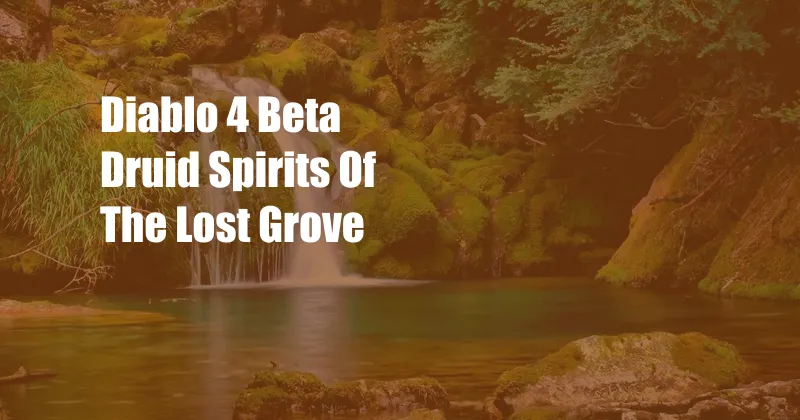 Diablo 4 Beta Druid Spirits Of The Lost Grove