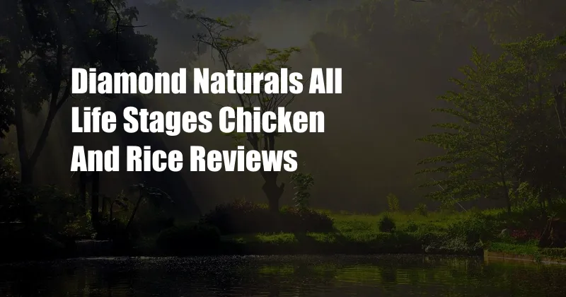 Diamond Naturals All Life Stages Chicken And Rice Reviews