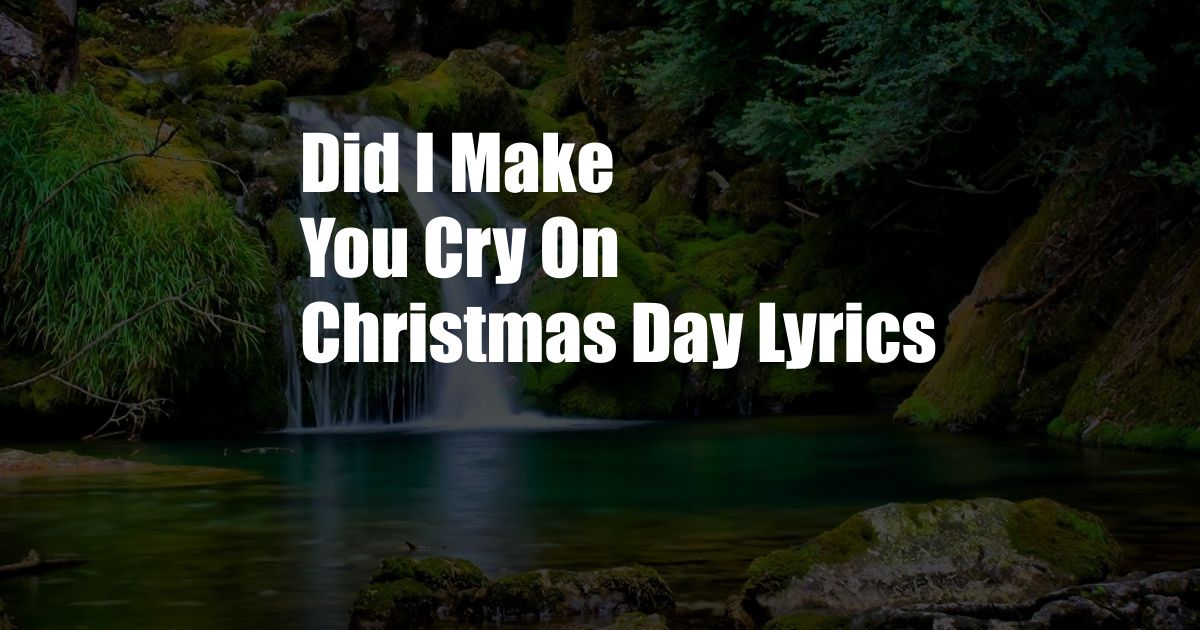 Did I Make You Cry On Christmas Day Lyrics