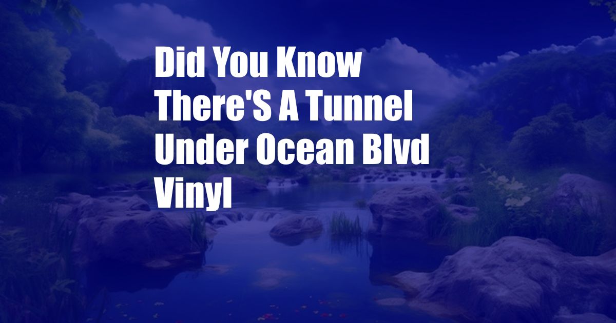 Did You Know There'S A Tunnel Under Ocean Blvd Vinyl