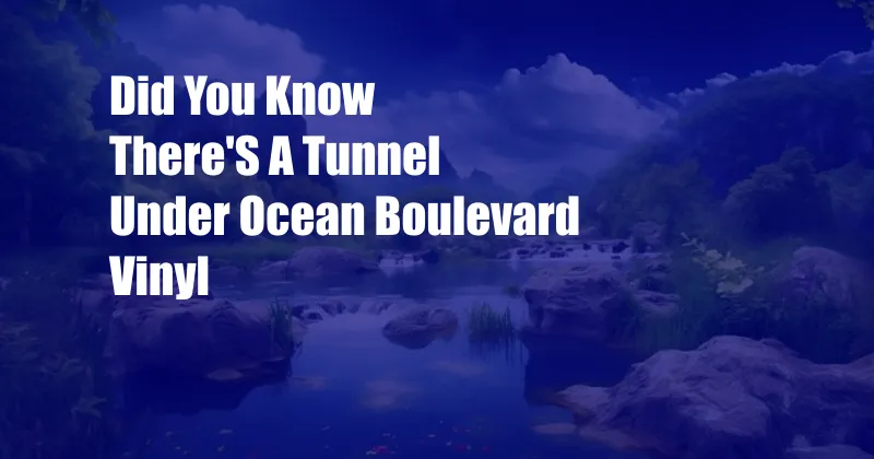 Did You Know There'S A Tunnel Under Ocean Boulevard Vinyl