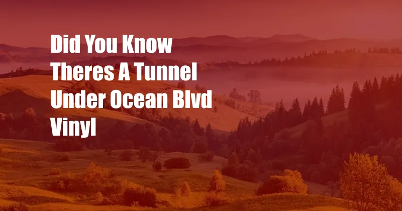 Did You Know Theres A Tunnel Under Ocean Blvd Vinyl