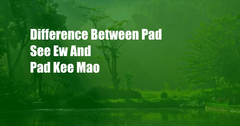 Difference Between Pad See Ew And Pad Kee Mao