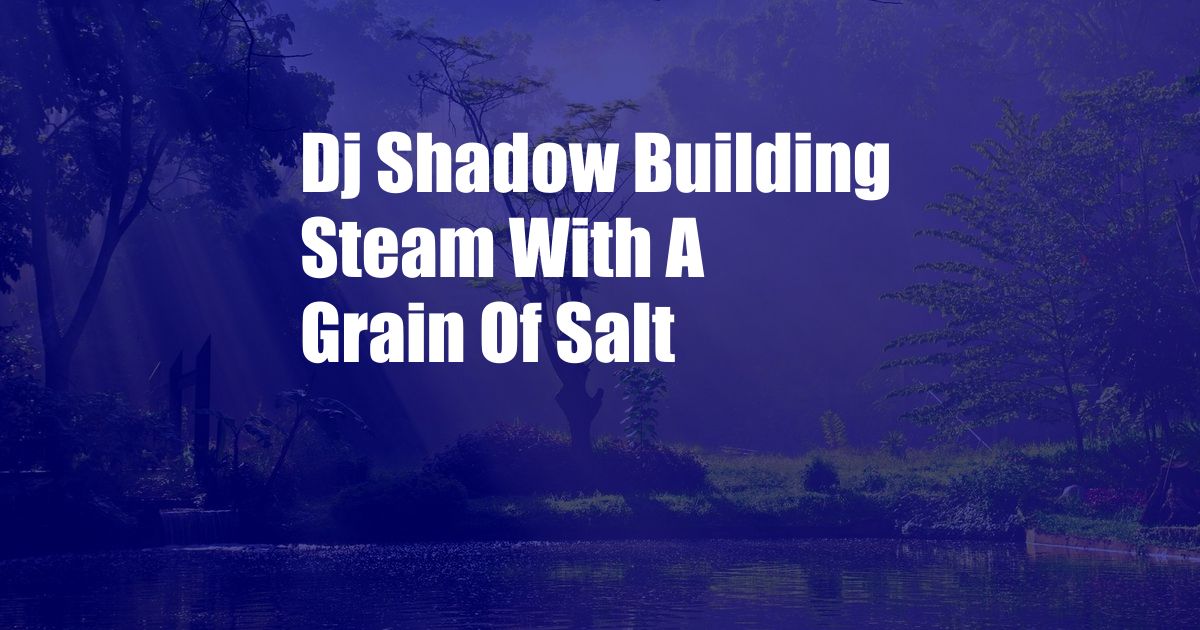 Dj Shadow Building Steam With A Grain Of Salt