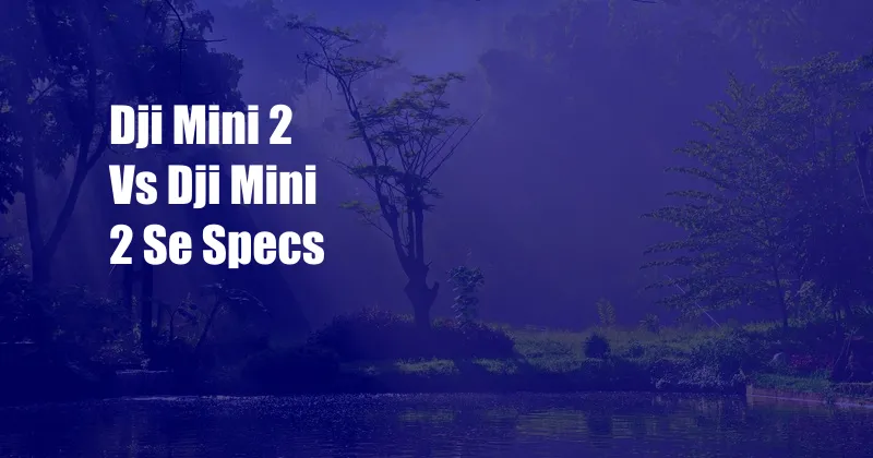 Dji Mini 2 Vs Dji Mini 2 Se Specs