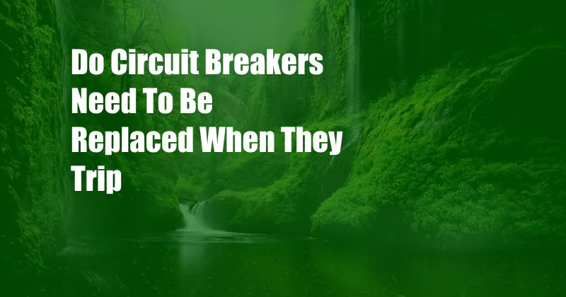 Do Circuit Breakers Need To Be Replaced When They Trip