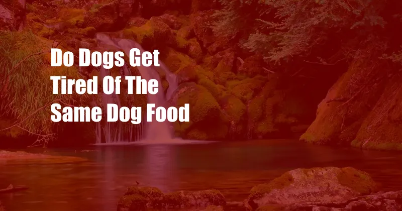 Do Dogs Get Tired Of The Same Dog Food