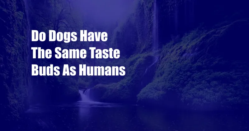 Do Dogs Have The Same Taste Buds As Humans