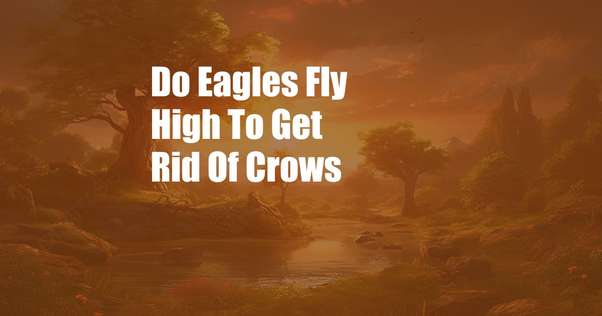 Do Eagles Fly High To Get Rid Of Crows