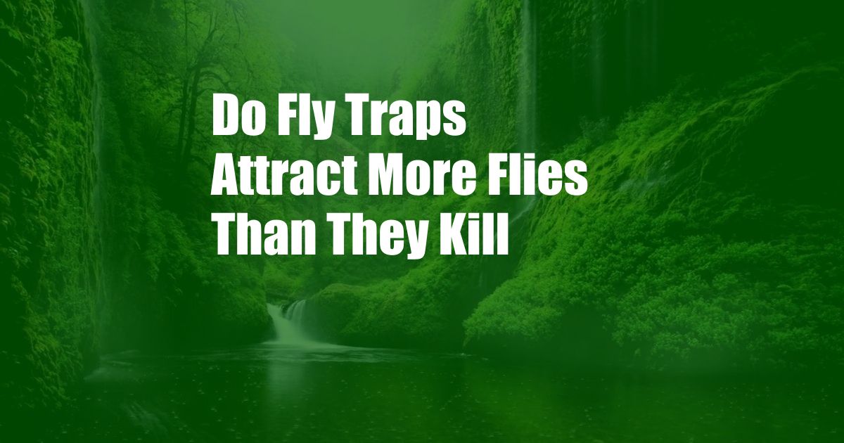 Do Fly Traps Attract More Flies Than They Kill