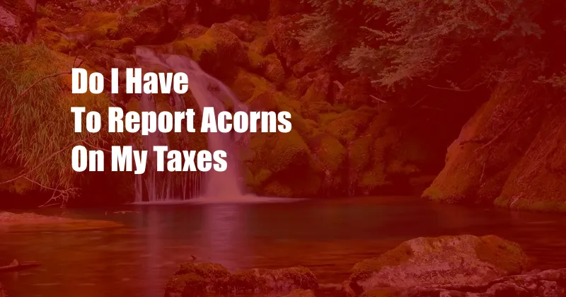 Do I Have To Report Acorns On My Taxes