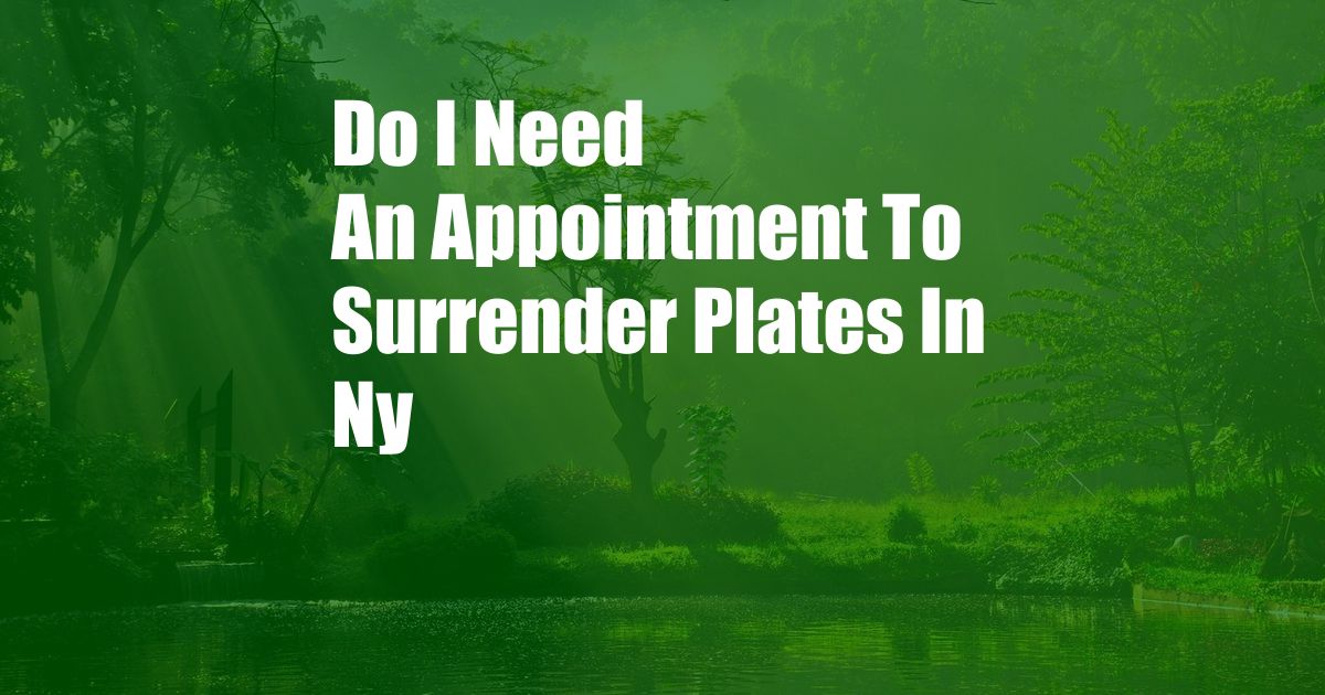 Do I Need An Appointment To Surrender Plates In Ny