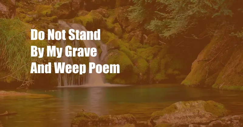 Do Not Stand By My Grave And Weep Poem