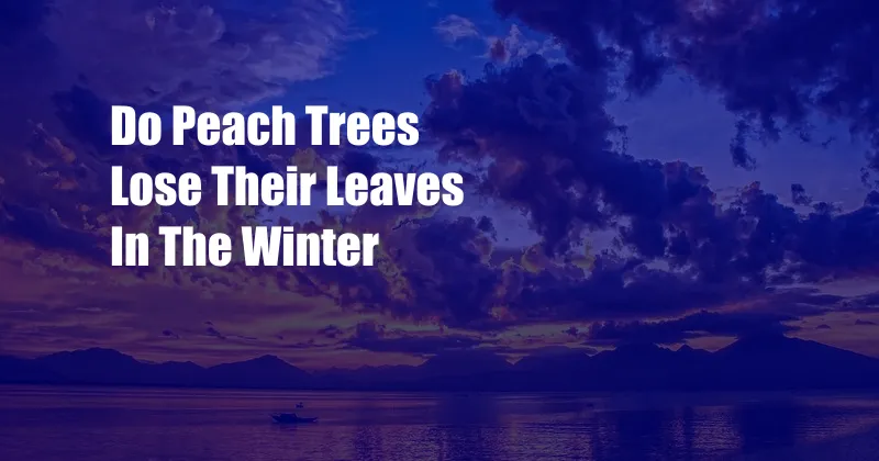 Do Peach Trees Lose Their Leaves In The Winter