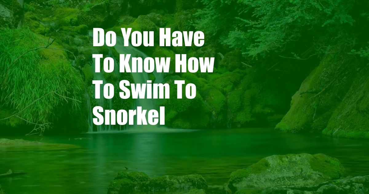 Do You Have To Know How To Swim To Snorkel