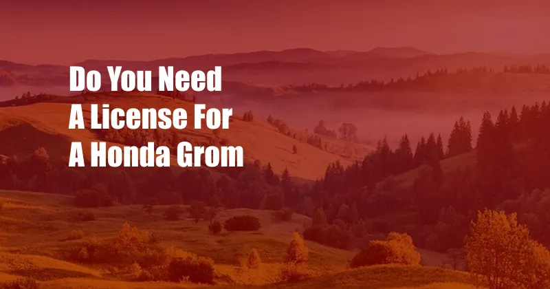 Do You Need A License For A Honda Grom