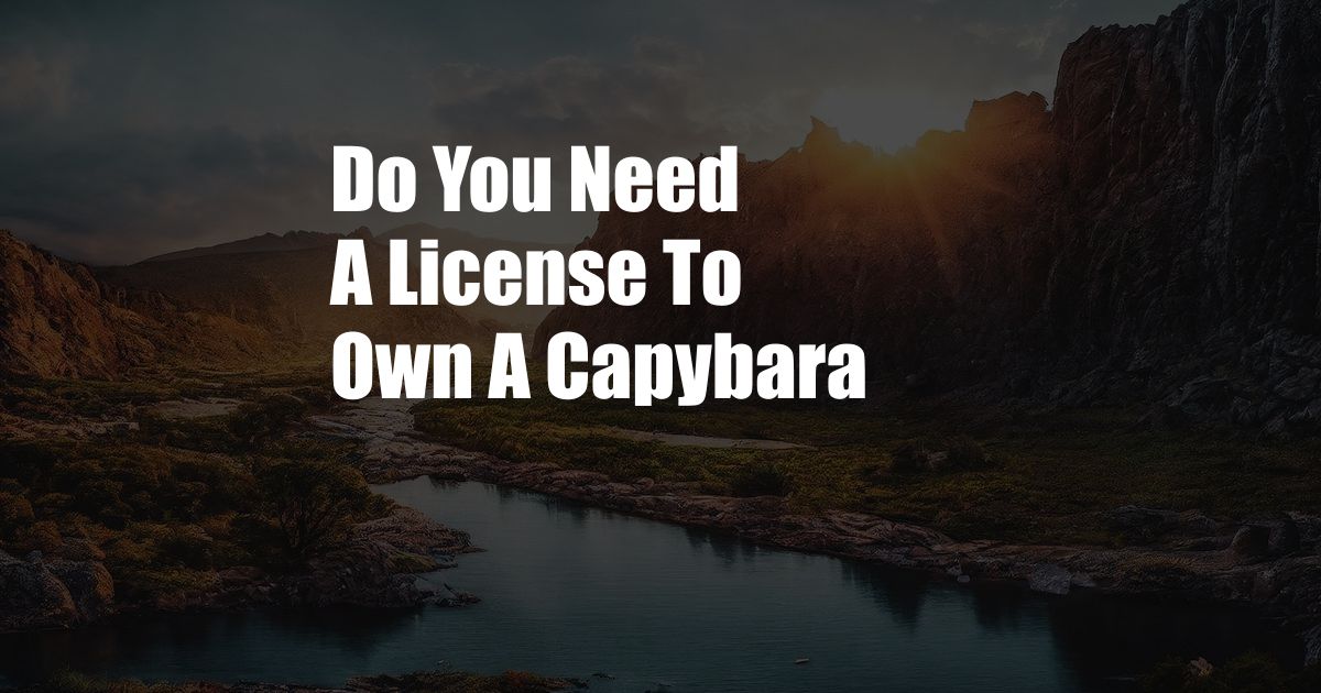 Do You Need A License To Own A Capybara