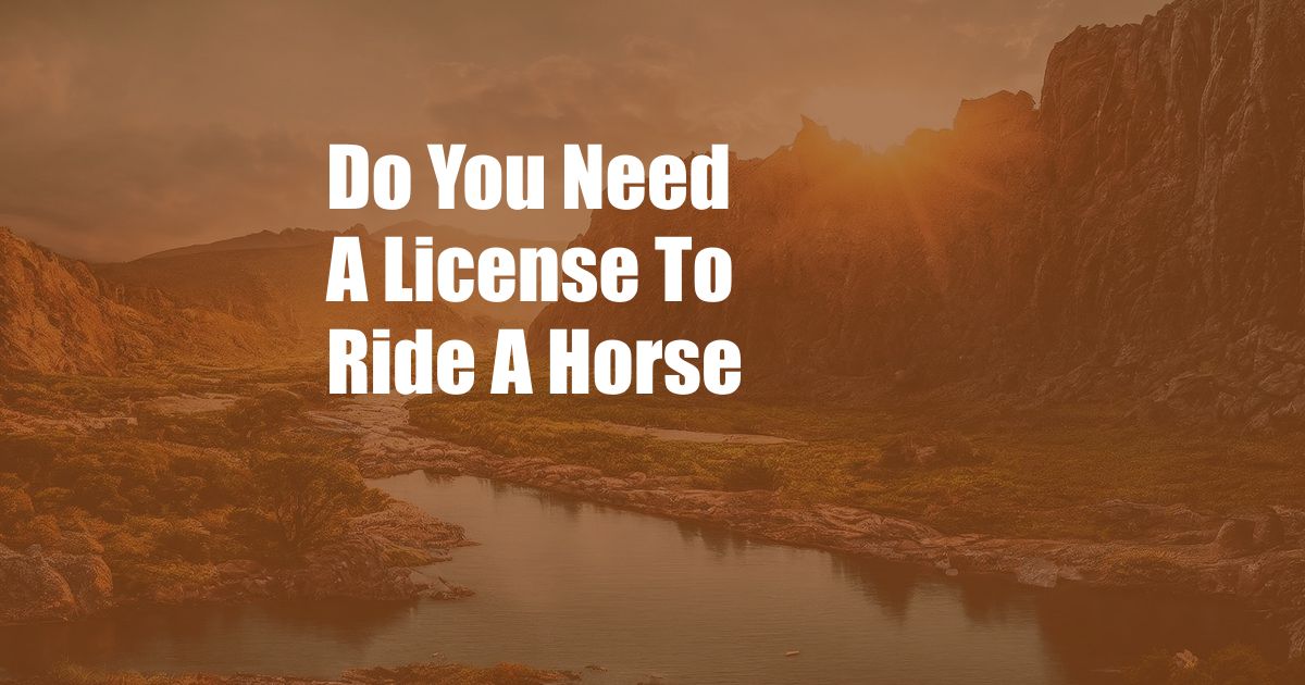 Do You Need A License To Ride A Horse