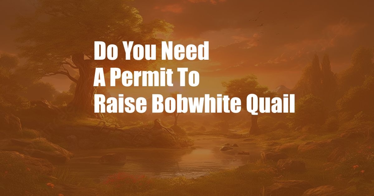 Do You Need A Permit To Raise Bobwhite Quail