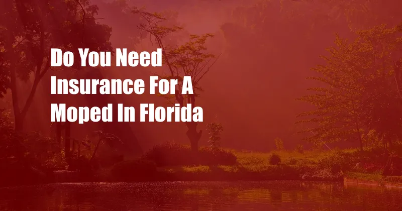 Do You Need Insurance For A Moped In Florida