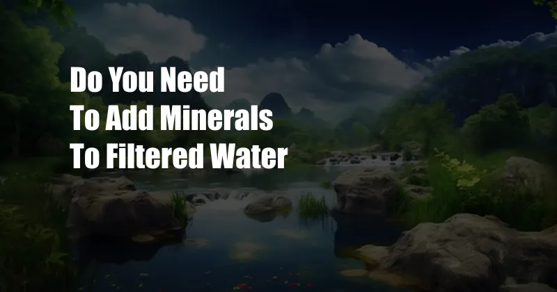 Do You Need To Add Minerals To Filtered Water