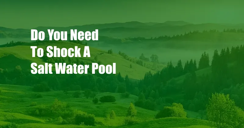 Do You Need To Shock A Salt Water Pool
