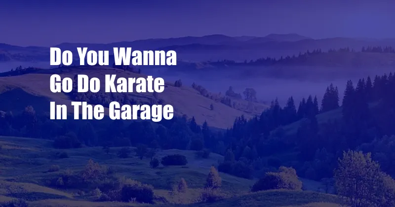 Do You Wanna Go Do Karate In The Garage