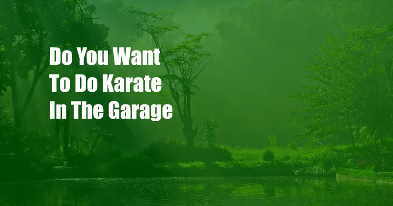 Do You Want To Do Karate In The Garage