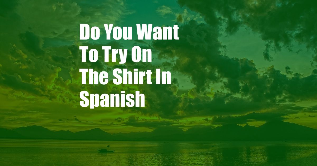 Do You Want To Try On The Shirt In Spanish