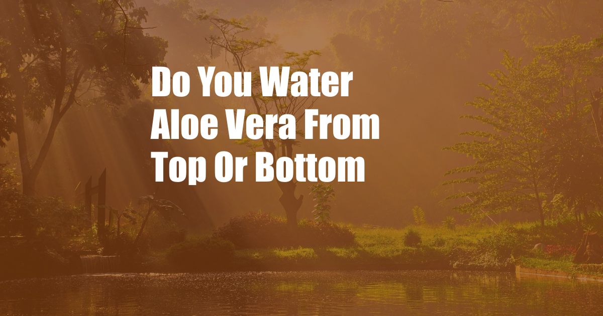 Do You Water Aloe Vera From Top Or Bottom