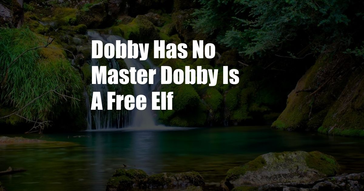 Dobby Has No Master Dobby Is A Free Elf