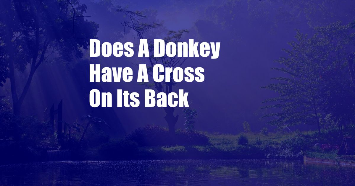 Does A Donkey Have A Cross On Its Back