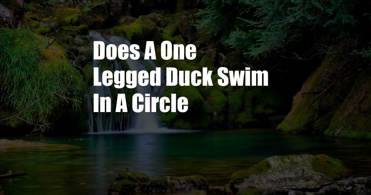 Does A One Legged Duck Swim In A Circle
