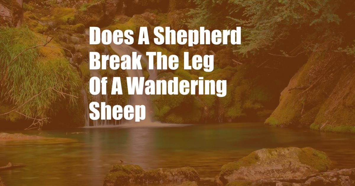 Does A Shepherd Break The Leg Of A Wandering Sheep