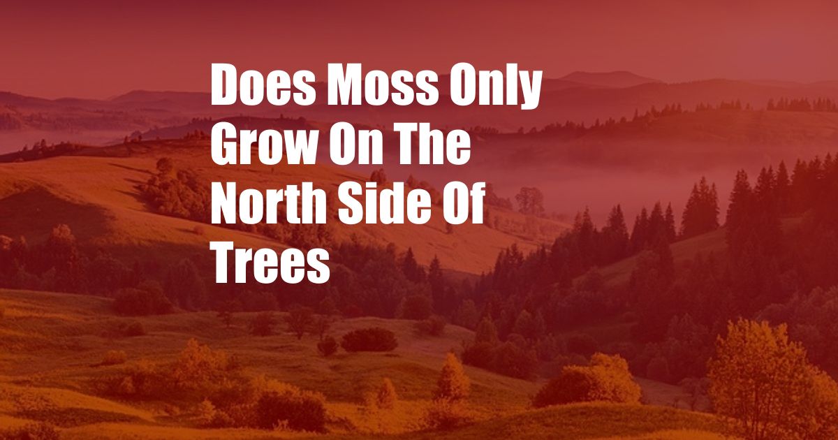 Does Moss Only Grow On The North Side Of Trees